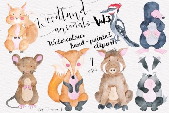 Download Watercolor Cute Woodland Animals - Watercolor Collection
