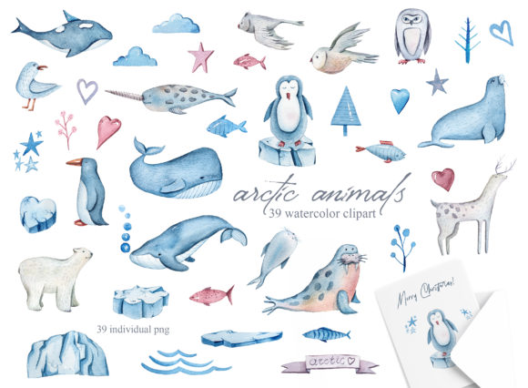Download Watercolor Arctic Animals Clipart - Watercolor Collection