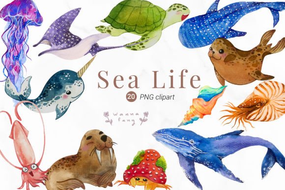 Download Watercolor Sea Life Clipart, PNG - Watercolor Collection