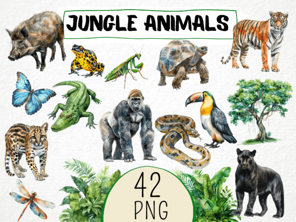 Download Watercolor Jungle Animals Clipart 42 Png - Watercolor Collection