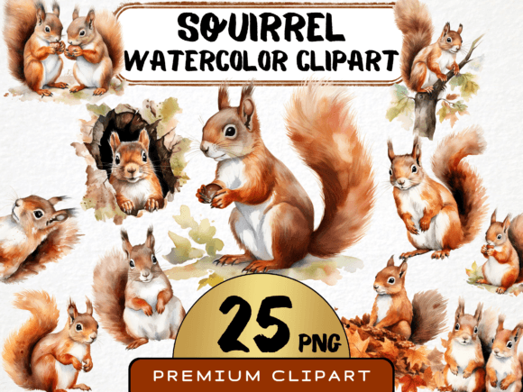 Download Watercolor Squirrel Clipart - Watercolor Collection