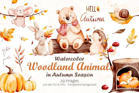 Download Watercolor Woodland Animals in Autumn - Watercolor Collection