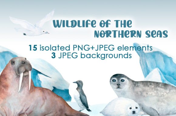 Download Watercolor Arctic Animals Clipart - Watercolor Collection