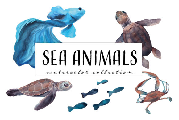 Download Sea Animals Watercolor Collection - Watercolor Collection