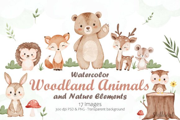 Download Watercolor Woodland Animals - Watercolor Collection