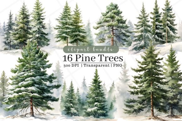Download Pine Trees Watercolor Clipart - Watercolor Collection