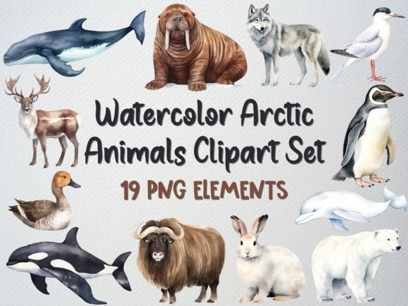 Download Watercolor Arctic Animals Clipart Set - Watercolor Collection